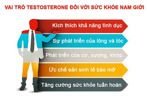Testosterone có vai trò quan trọng thế nào với sinh lý nam giới 2